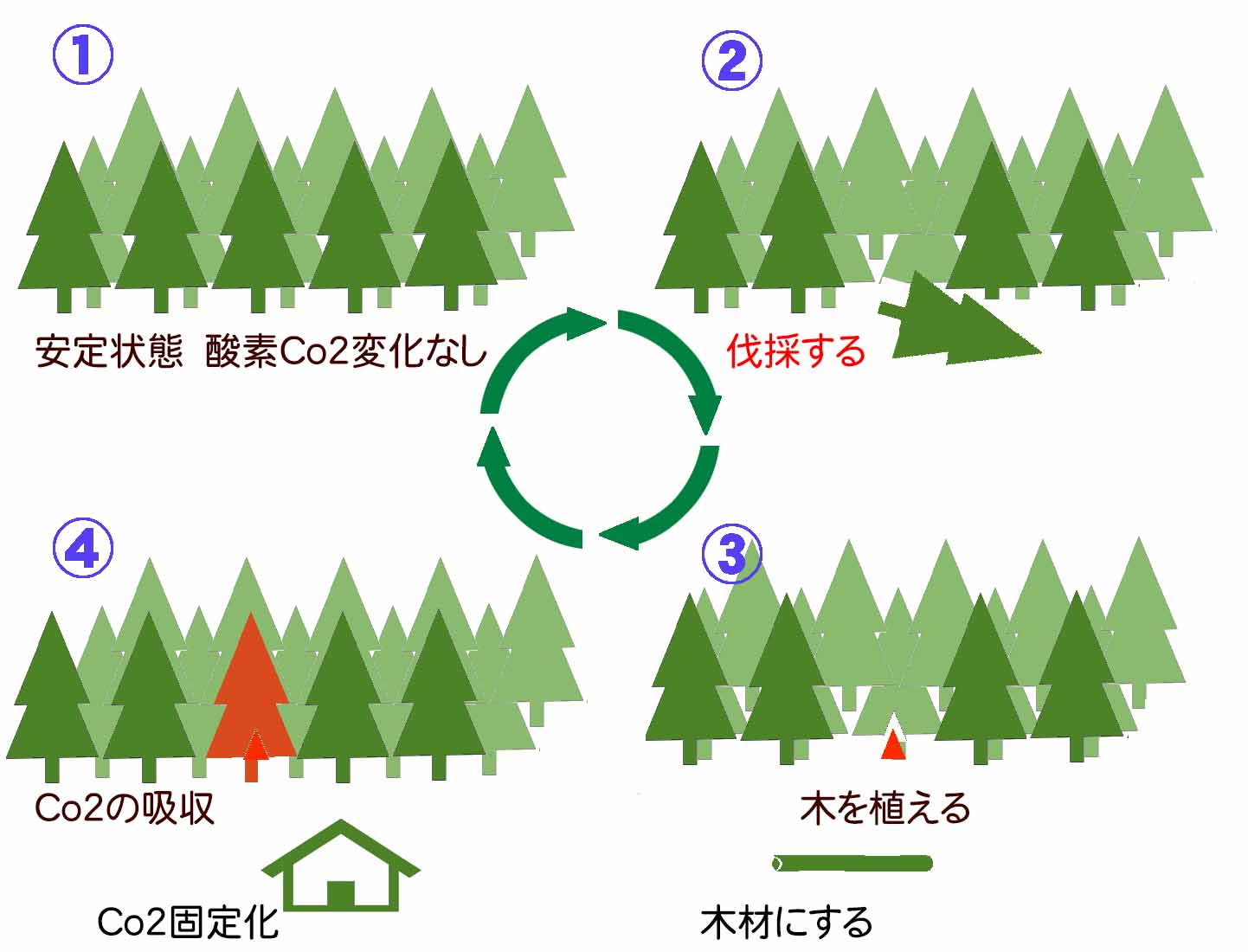 木の完全リサイクル