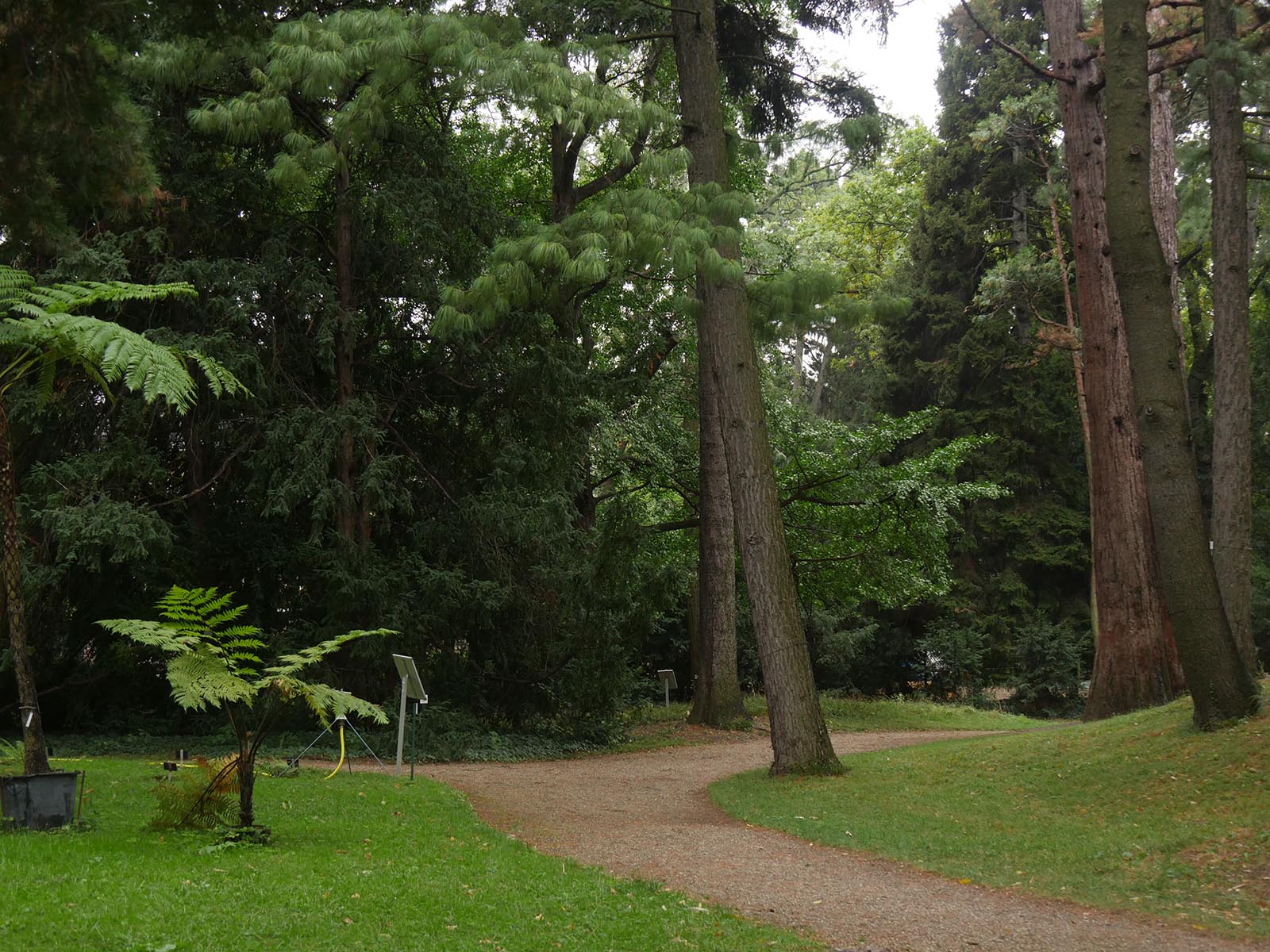 フィトンチッドを感じるウィーン大学植物園