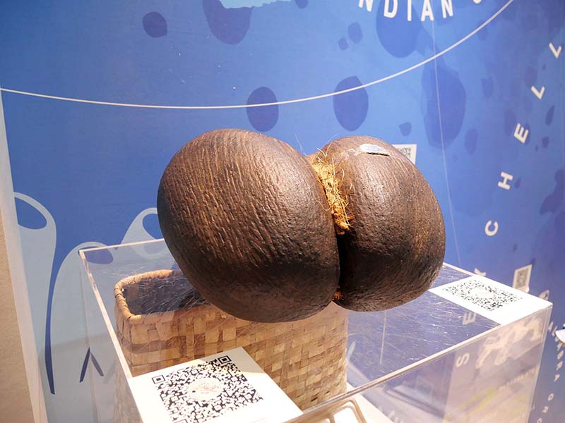 万博セーシェル-c館