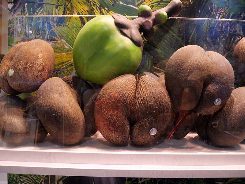 万博セーシェル-c館