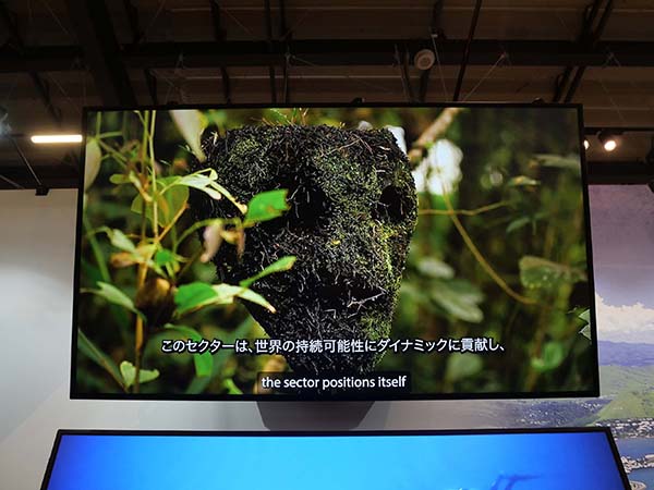 万博パプアニュー