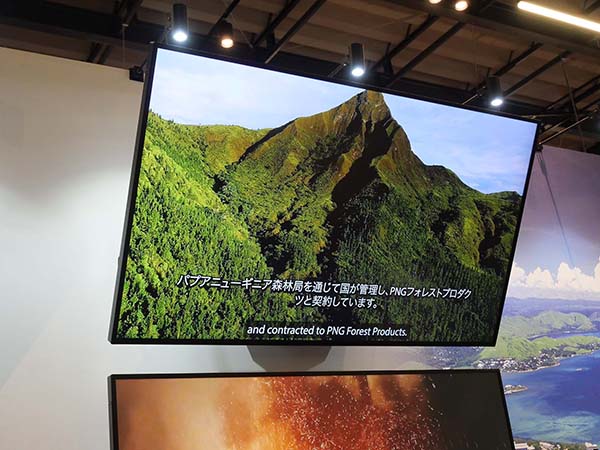 万博パラグアイ