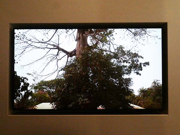 万博ギニアビサウ館