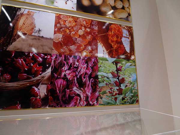 万博赤道スーダン館