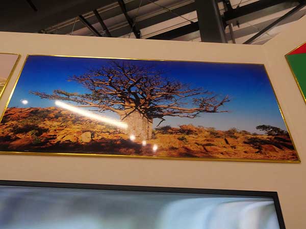 万博赤道スーダン館