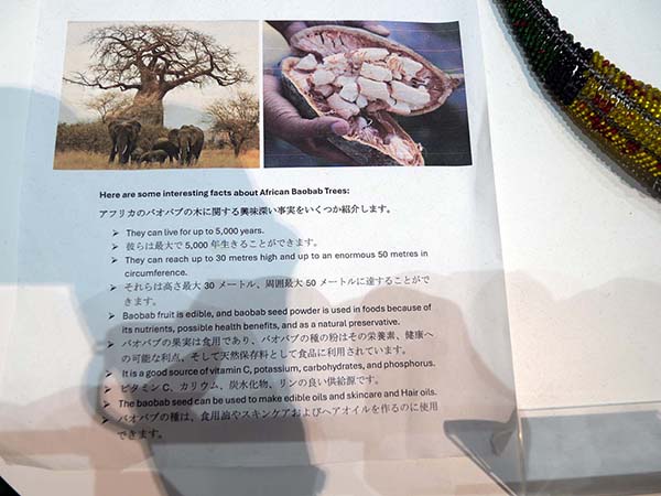 万博ザンビア館