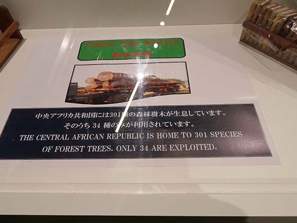 万博赤道中央アフリカ館