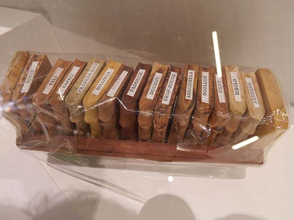 万博赤道中央アフリカ館