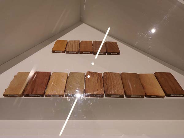 万博赤道中央アフリカ館