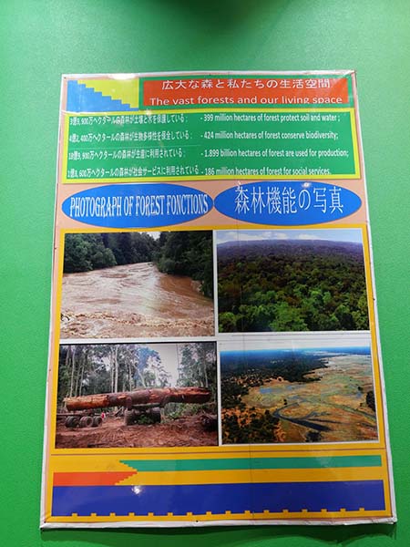 万博赤道中央アフリカ館