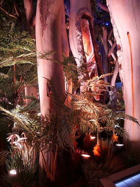 関西万博オーストラリア館