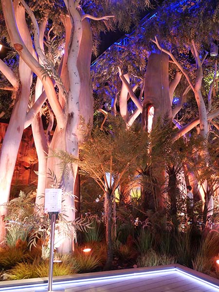 関西万博オーストラリア館