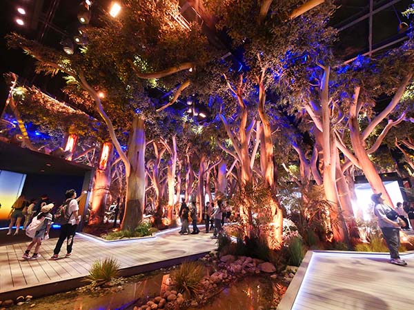 関西万博オーストラリア館