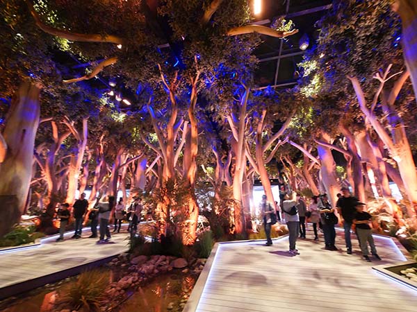 関西万博オーストラリア館