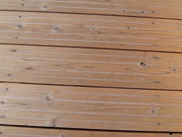 関西万博チェコ