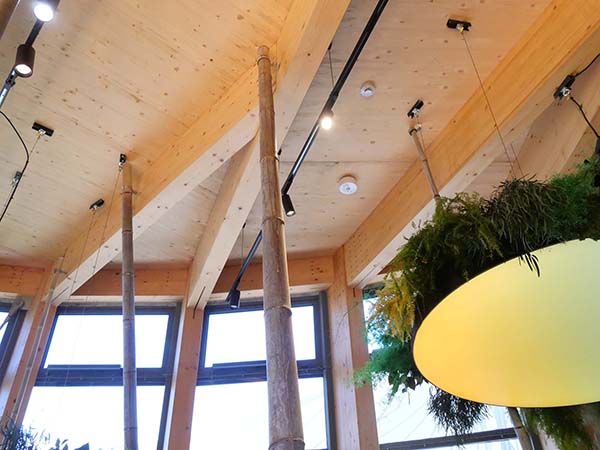 関西万博ドイツ館