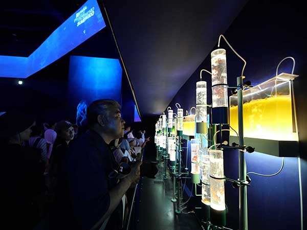 関西万博スペイン