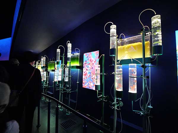 関西万博スペイン