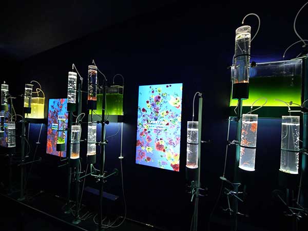 関西万博スペイン