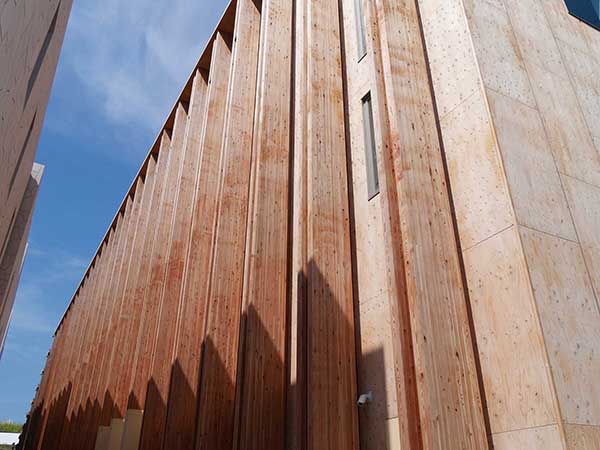 関西万博スペイン