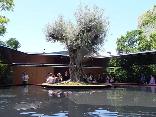 関西万博モナコ館