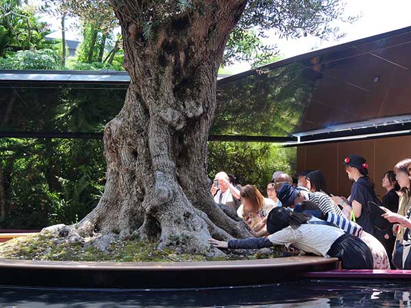 関西万博モナコ館