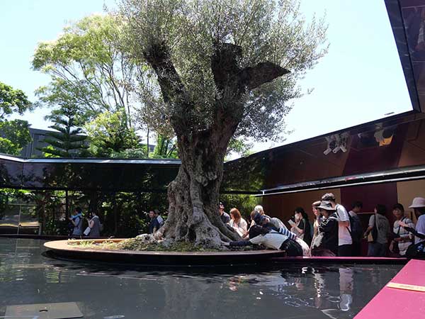 関西万博モナコ館