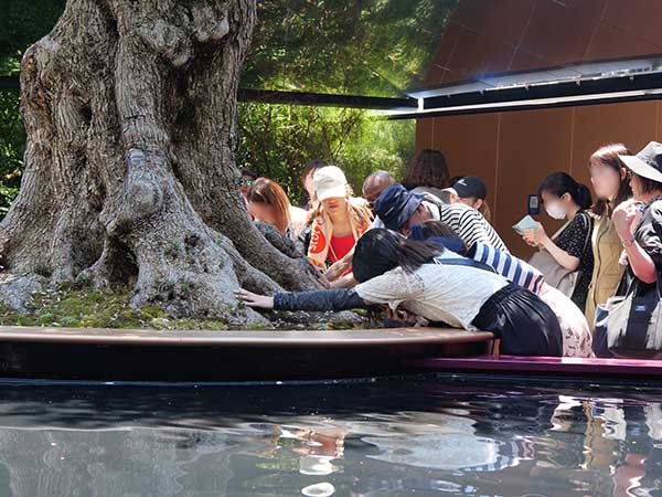 関西万博モナコ館