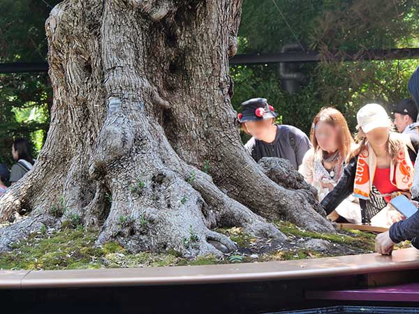 関西万博モナコ館