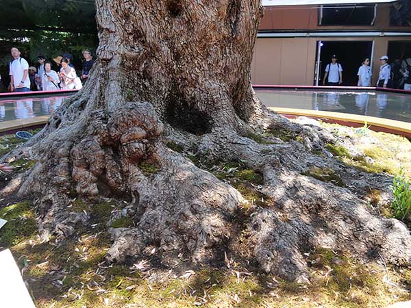 関西万博モナコ館