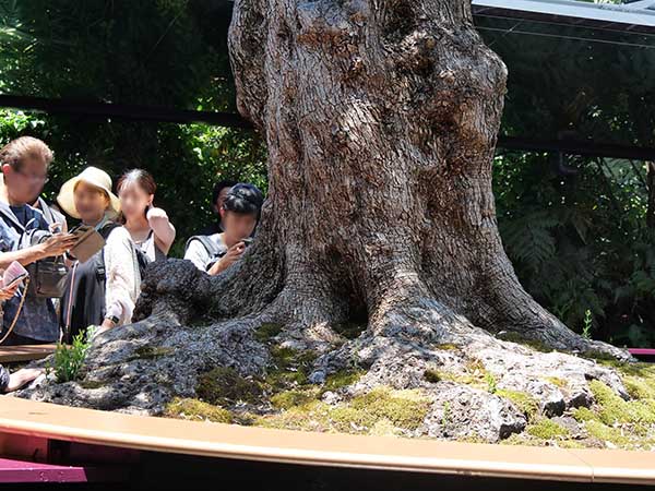 関西万博モナコ館