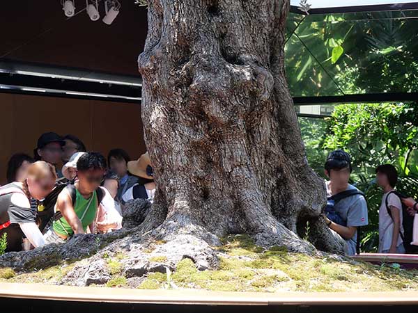 関西万博モナコ館