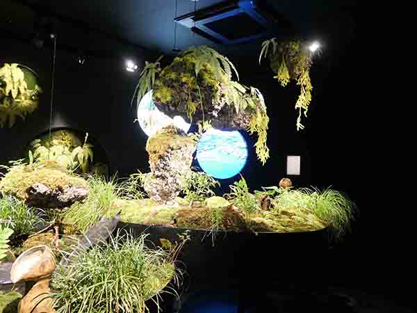 関西万博-アイルランド館内