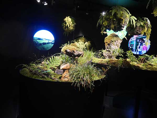 関西万博-アイルランド館内