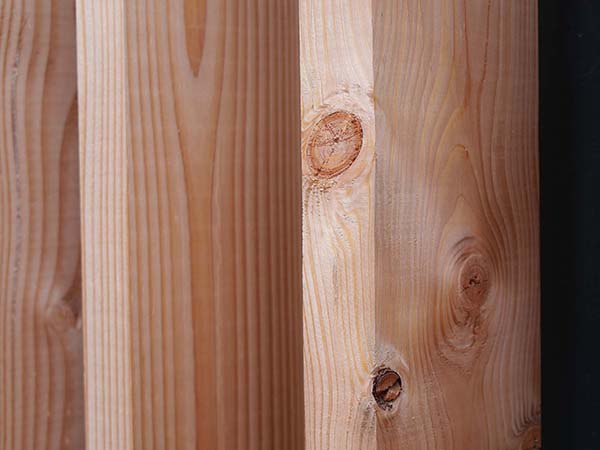 関西万博アイルランド館