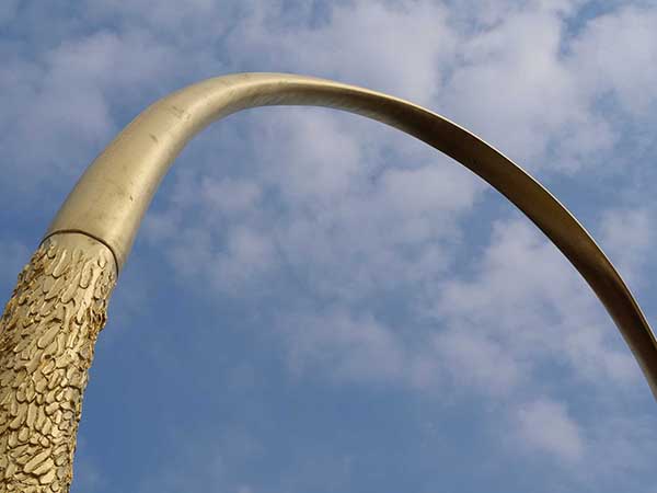 万博-アイルランド館