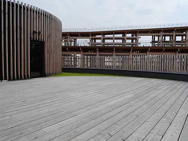 万博-アイルランド館