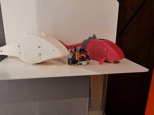 関西万博イタリア