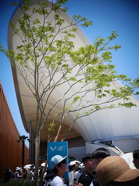 関西万博クウェート