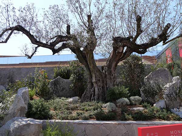 関西万博モナコ館