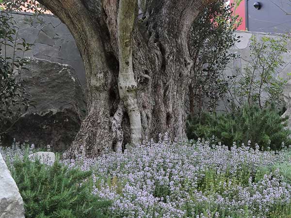 関西万博モナコ館