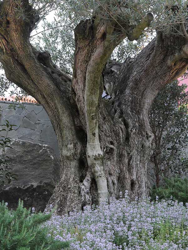 関西万博モナコ館