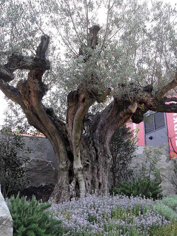 関西万博モナコ館
