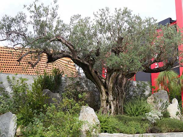 関西万博モナコ館