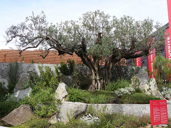 関西万博モナコ館