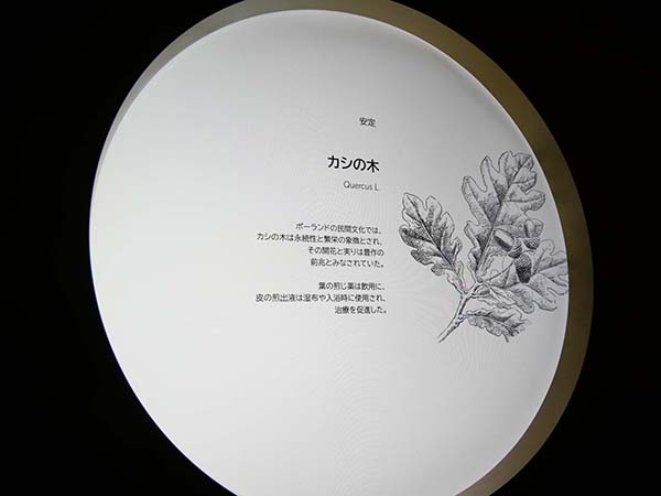 関西万博ポーランド館