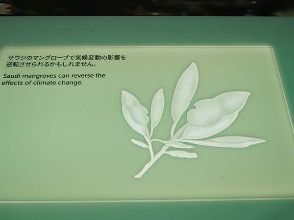 サウジアラビア