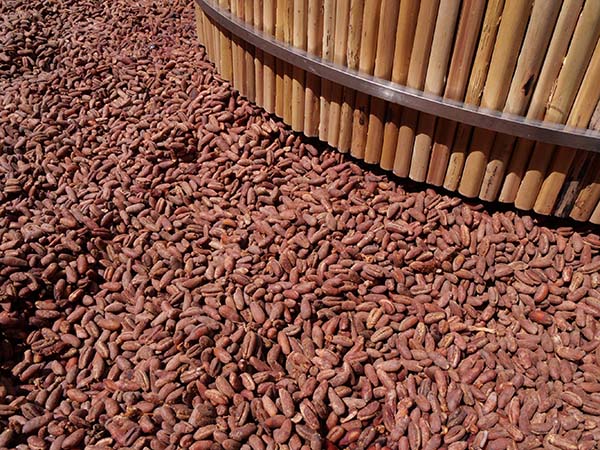 関西万博アラブ首長国連邦