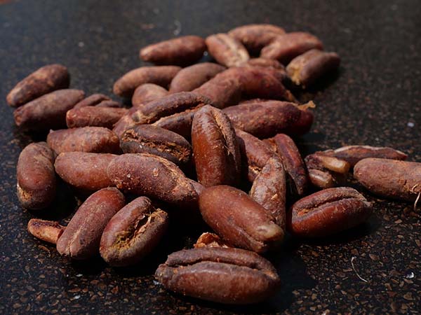 関西万博アラブ首長国連邦