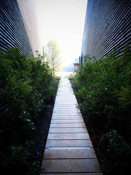 関西万博アメリカ館